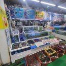 명성수산 이미지