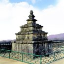 도리사로 이미지