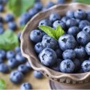 루루베리 이미지