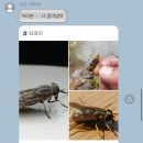 왕많으니 왕재밌다! 강릉 Day2