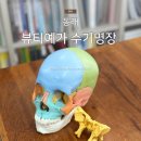 영남대학교 의학전문대학원 | 부산 비대칭체형관리 동래 뷰티예가 수기명장 솔직후기 주차정보