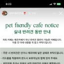 포리프 이미지