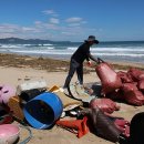 수반경로당 이미지