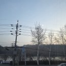 송유향 | 경기광주 가족외식 중대동 송유향 향코스 후기