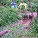 여름농장 이미지