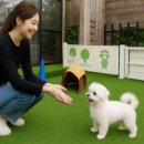 강릉펜션 이미지