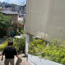 광주 오포읍 스멜츠smelts 대형 카페｜자연 속에서 즐기는 브런치와 디저트