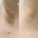 웰로우브로우