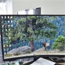 명주 행정사사무소 이미지