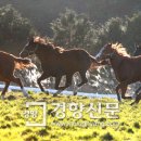 청마목장 이미지