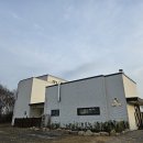 포댕 | 포항 대형 애견카페 포댕 후기