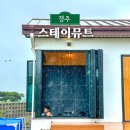 스테이 뮤트 이미지