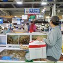 대영건어물 | 주문진수산시장 대게 포장 강릉 대영수산