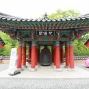 도림사 티스토리