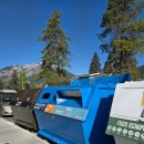 동남카랜드 | 🇨🇦캐나다 허니문(6): 드디어 만난 사슴/밴프 브런치/캘거리에서 렌터카 반납