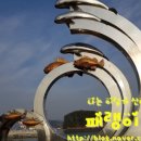 용궁농장 이미지