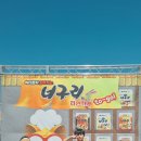 완도 장보고축제 후기