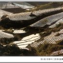 사진전람회 이미지