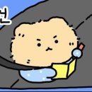 불광중학교 | [한국사능력검정시험] 한능검 1급 후기/94점/1트합격/4주 공부