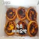 마카오박 | 속초 에그타르트 맛집 마카오박 내돈내산 후기