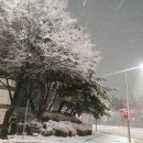 막이오름춘천스무숲점