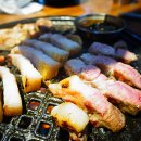 돌리고제주도야지 이미지