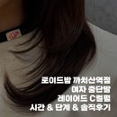컬 | [로이드밤 까치산역] 여자 중단발 레이어드 c컬펌 솔직후기