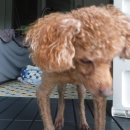 영덕경찰수련원 이미지