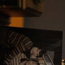 테리구옥 이미지