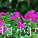 한구전력공사