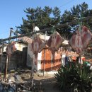 바다잔치 이미지