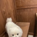 우리할매떡볶이 백석점