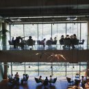 유성농원 | 대전벚꽃명소 동학사. 대청호반길. 유성탄동천. 보문산 테미고개 &amp; 대전근교 40분 금산천.보곡산골...