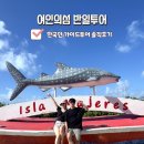 칸쿤신혼여행 한국인가이드 여인의섬투어 쏘쏘한 솔직후기