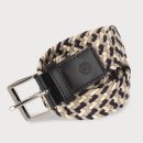 페르시안캣 이미지