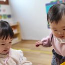 대영수지 이미지