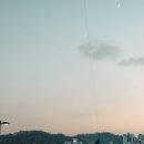 재봉틀로만드는일상(야간) | [소니 RX100M4] 일상 스냅으로 본 일주일, 음식 접사와 야간 거리