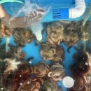 용원해수탕 이미지