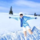 저팬로드투어 | 삿포로 겨울여행☃️ 마이재팬 비에이 버스투어 완벽후기