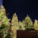 눈내리는커피콩(눈콩) | 부산 기장 빌라쥬드 아난티 트리마을 트리빌리지 크리스마스 눈내리는 시간&amp;주차꿀팁 정보!