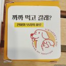진이와보리의하루 이미지