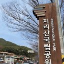 오초 이미지