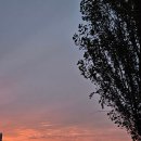 한강화장실 이촌1 화장실 이미지