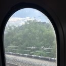 에스알티주 | 부산 출장 갔됴…. 허거스 갔됴….취했됴….