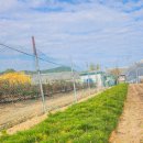 해송2로 이미지