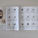 정이깃든 이미지