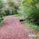 남조로 사려니숲길입구 이미지