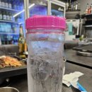 정방동문화의집 | 올레시장고기집 본돈 서귀포 가볼만한 곳