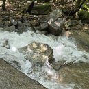 태기산아침의새소리 이미지