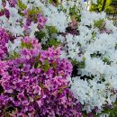 알미공원 화장실 이미지